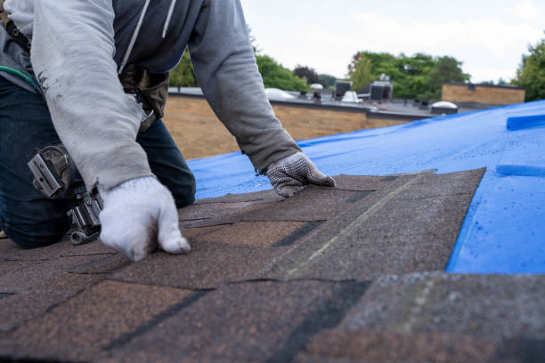 Best Roof Leak Repair  in Rockford, MN