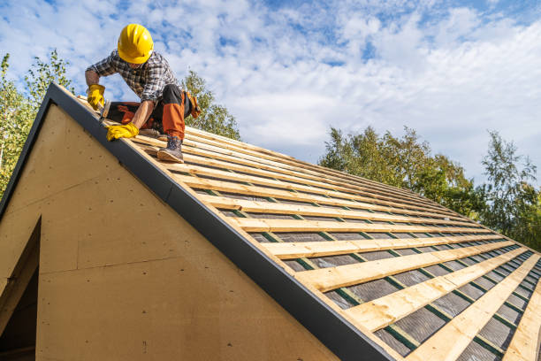 Best Flat Roof Repair Services  in Rockford, MN