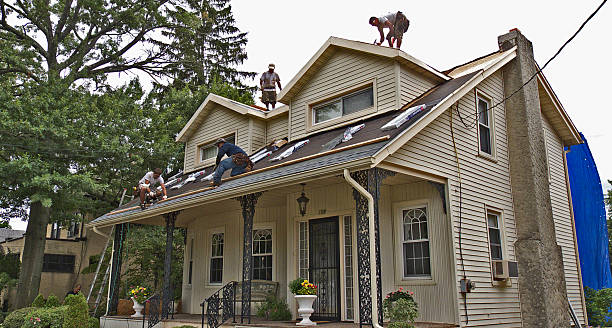 Best Roof Gutter Cleaning  in Rockford, MN