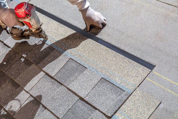 Best Metal Roofing Contractor  in Rockford, MN