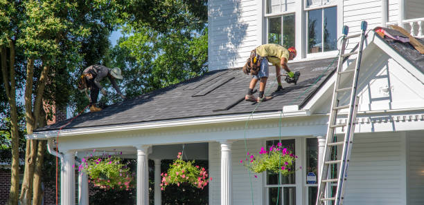 Best Storm Damage Roof Repair  in Rockford, MN